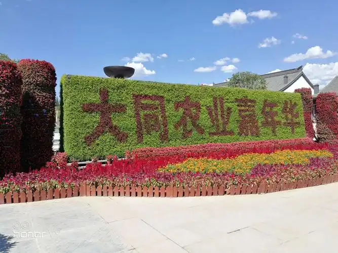 2019年8月14日同学们在大同农业嘉年华小聚