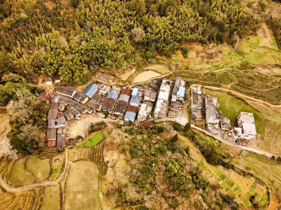 我的家乡:濠头乡濠头村…#乡村振兴dou行动 #愿有岁月可回 - 抖音