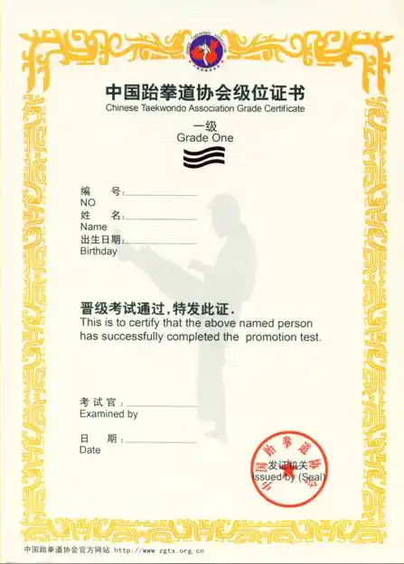 跆拳道证书 我们一些同学拿到的是这种证书,而我拿到的是只有名字是