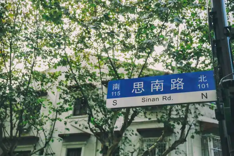 在思南路,等一场"梧桐雨"