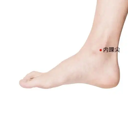 内踝尖
