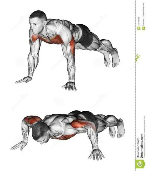 无器械不健身?最全面徒手自重训练,提高心肺爆发力激发肌肉潜能