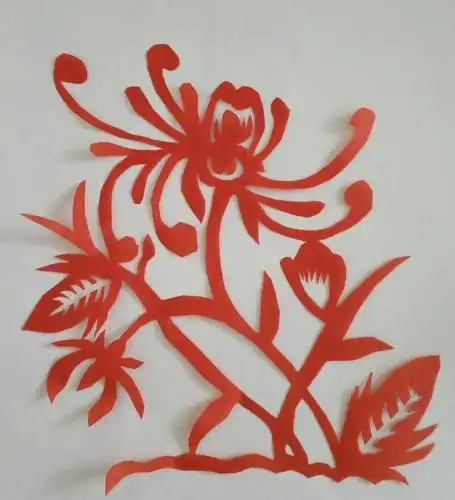 初中生菊花剪纸教程图解