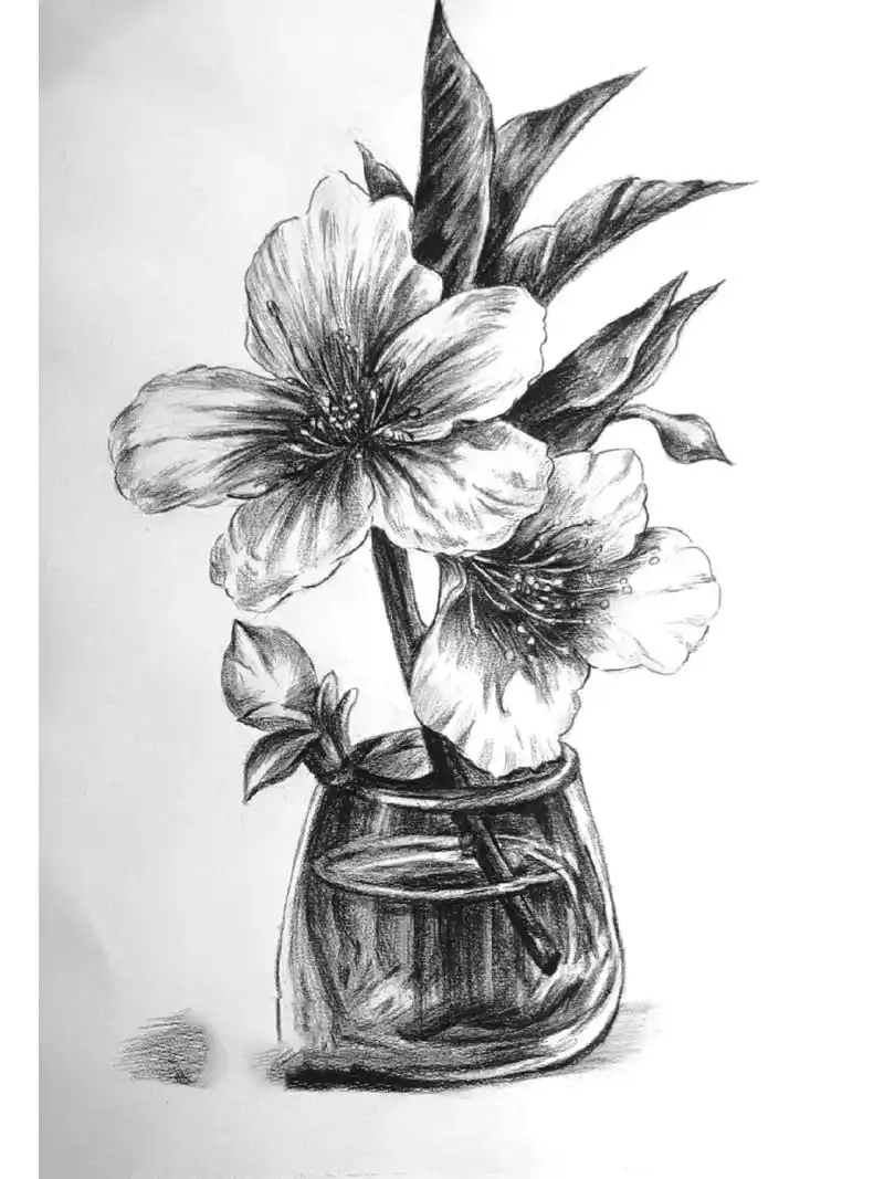 创意素描–花卉【带步骤图】 这幅作品主要在画的时候,就是注意一下