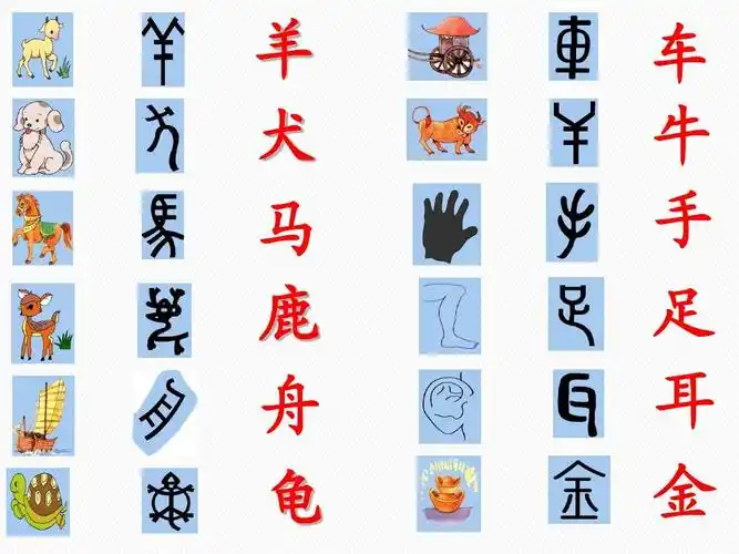 80个常见象形字小学学习必备