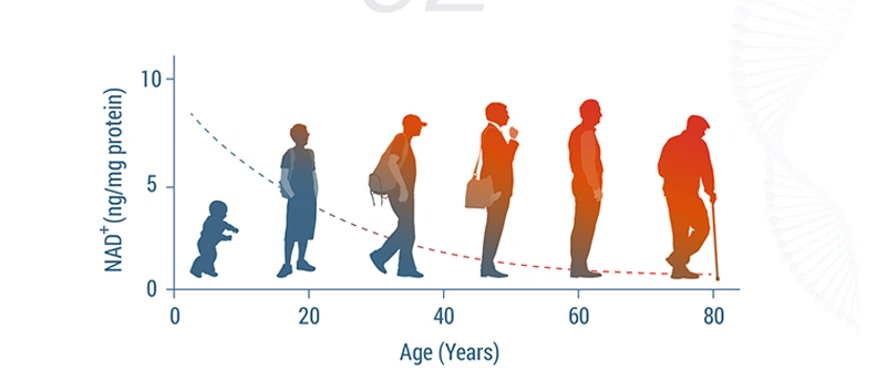 如何抗衰老?已经证实有效的「抗衰老」方法在这里