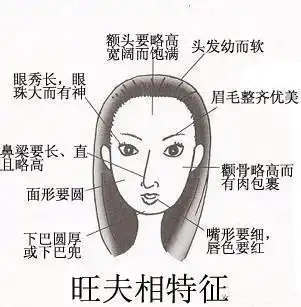 面相解析女人颧骨高杀夫不用刀