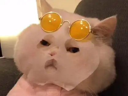 包_不应当因为我只是一只小猫咪表情包_我只是只小猫咪表情包 - 抖音