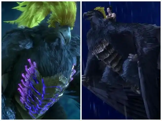 《星辰变》秦羽小黑成功度过四九天劫,小黑自此名为黑羽