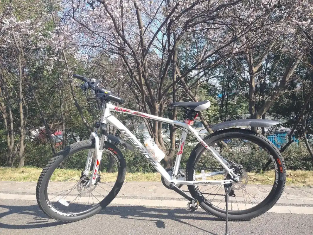 我的第一辆宝贝坐骑山地车美利达勇士500d!