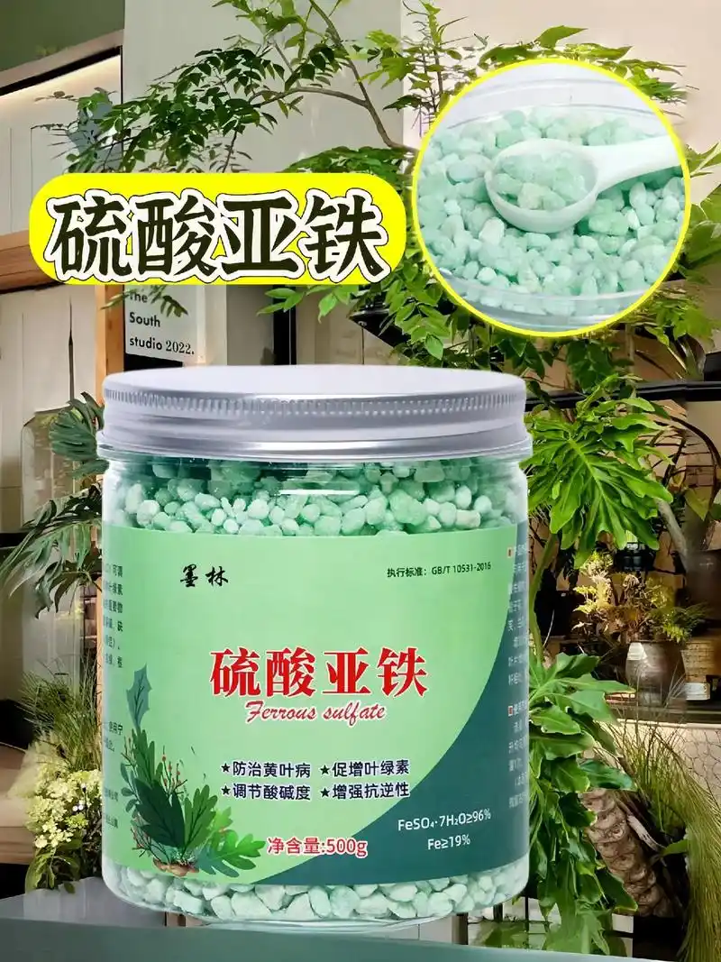 硫酸亚铁,酸性花卉植物的伴侣!友友们,酸性植物伴侣硫酸亚铁搞 - 抖音