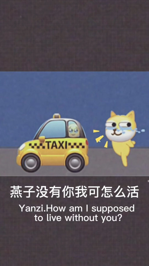 燕子表情包_燕子表情包emoji_燕子表情包制作 - 抖音