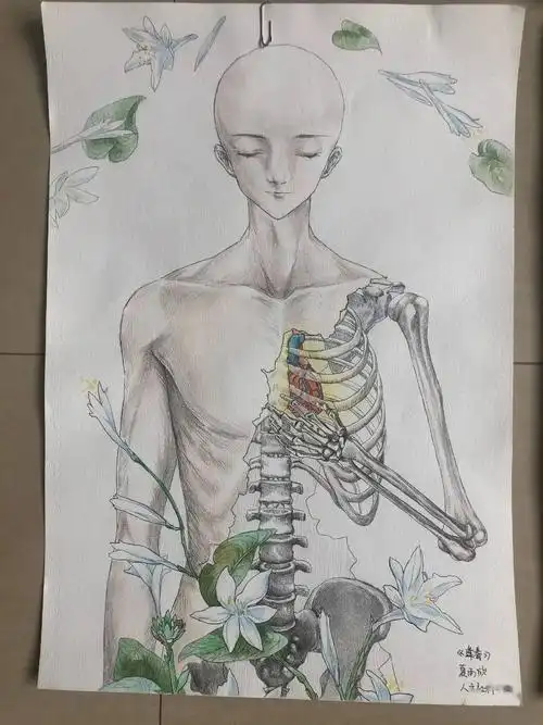 第四届医生艺事人体解剖绘画大赛获奖结果