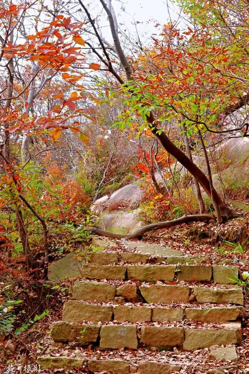 深秋的林荫小径