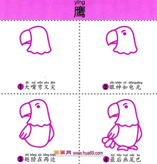 幼儿简笔画四步画一只尖嘴的老鹰图解教程