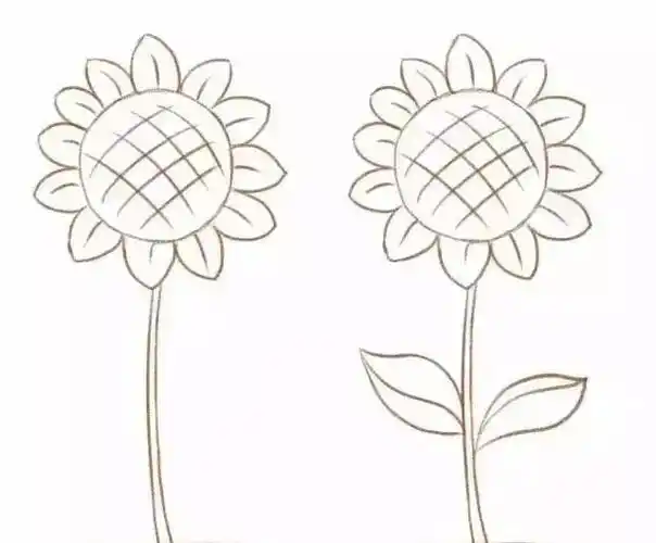 简笔画花花 简笔画花花草草