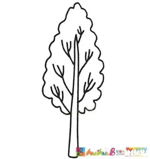 怎么画一棵白杨树简笔画步骤图简单怎么画简笔画教程绘画吧-画画大树