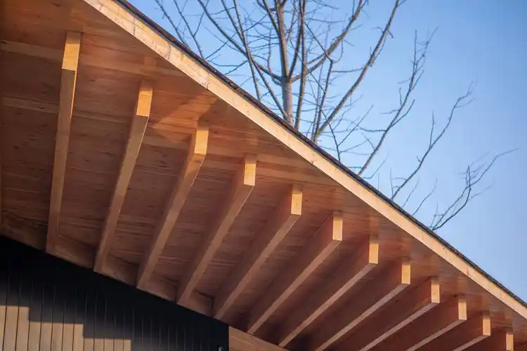 富阳·阳陂湖湿地接待中心 / 尌林建筑设计事务所 | 建筑学院