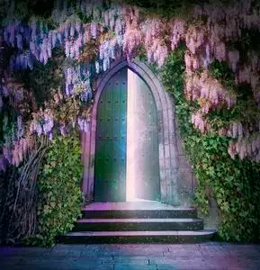 梦幻般的灯光一个敞开的门照片