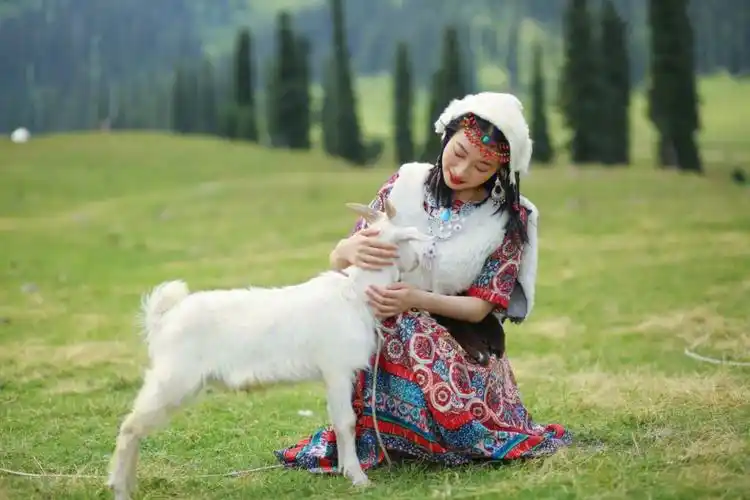 那拉提拍照攻略做一回草原上的牧羊女