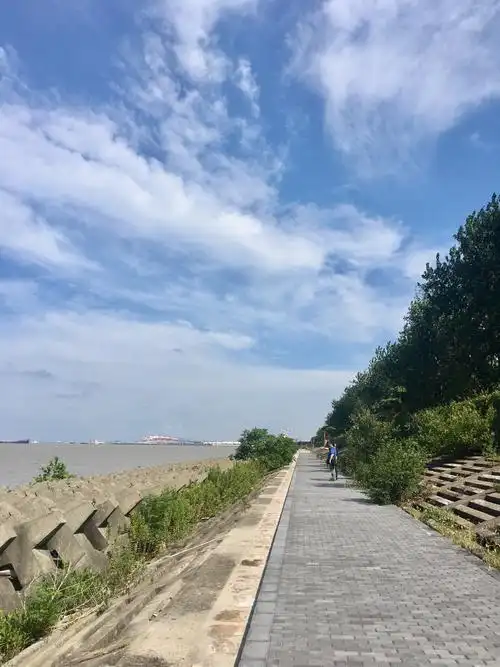 流浪日记之《滨江森林公园游记》