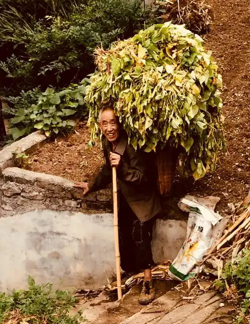 老农下山