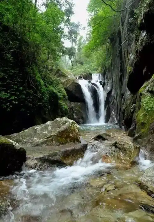 韶关南岭国家森林公园,叹五星避暑林庄温泉大饭店休闲二天游