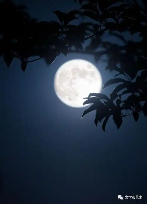 [创作大赛] 月光光 || 伟卫