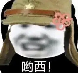 来自大佐的肯定表情包