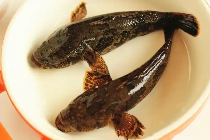 春天里惦念了整个冬天的一波美食来袭