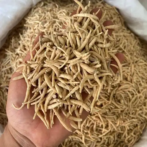 新货太子参批发 散装太子参500克 贵州孩儿参中药材一手货源-阿里巴巴