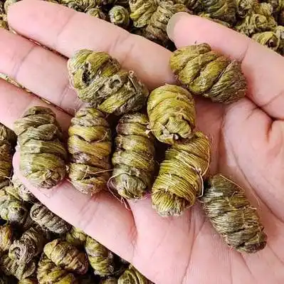 石斛价格行情_今日石斛价格多少钱一斤 _ 一亩田