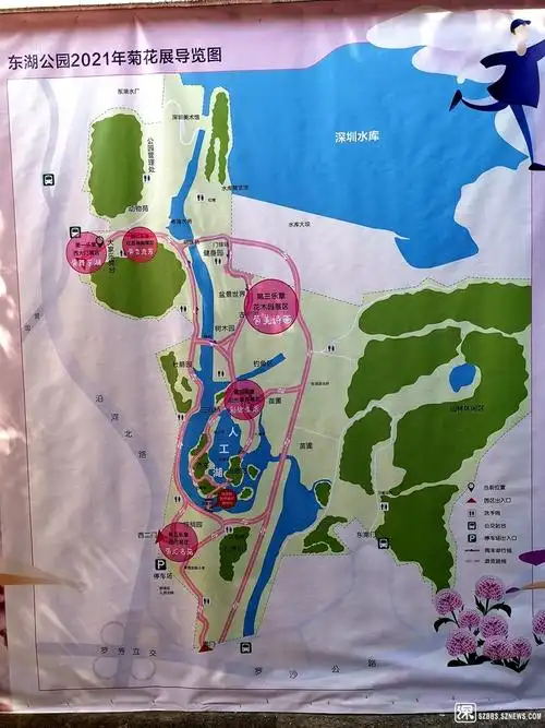 2021年深圳东湖公园菊花展览开展啦