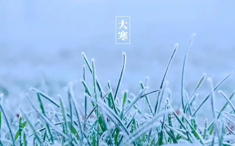 二十四节气大寒唯美图片桌面壁纸