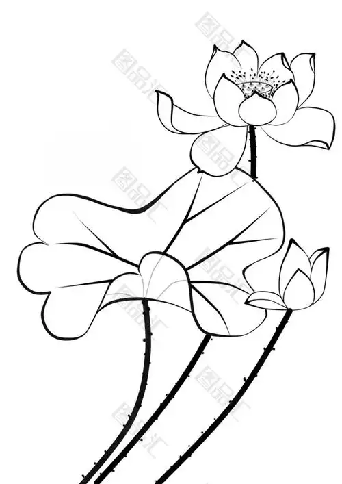 古风线稿荷花素材