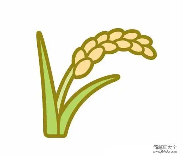 简笔画水稻的画法图片稻穗简笔画标志麦穗简笔画