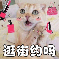 猫萌宠喵星人猫咪逛街约吗soogifsoogif出品gif动图_动态图_表情包