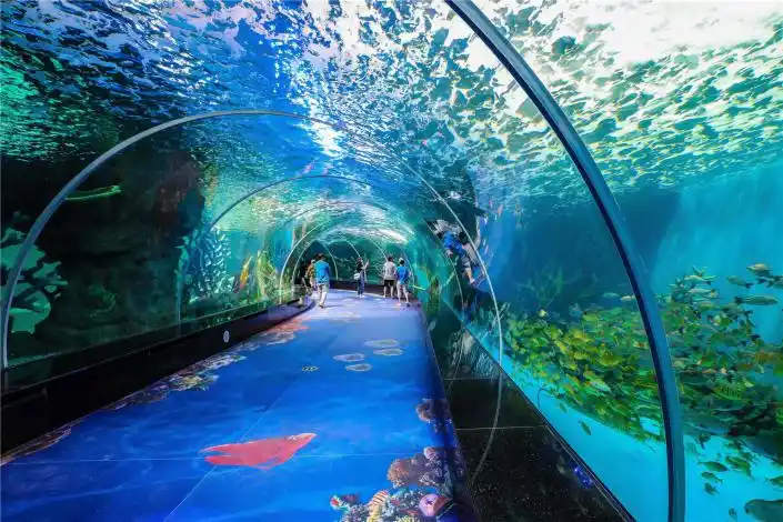 永泰欧乐堡海洋科普研学基地