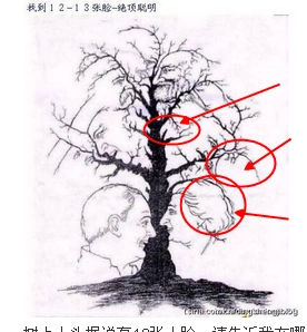 树上人头据说有13张人脸,请告诉我在哪里.