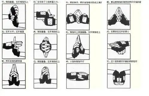 火影忍者的子丑寅卯辰巳午未甲酉戌亥动作图片