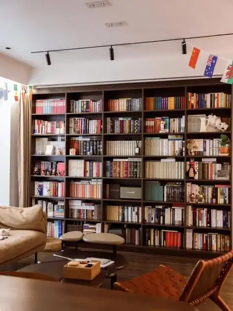 客厅书架效果图(客厅书架墙效果图大全)