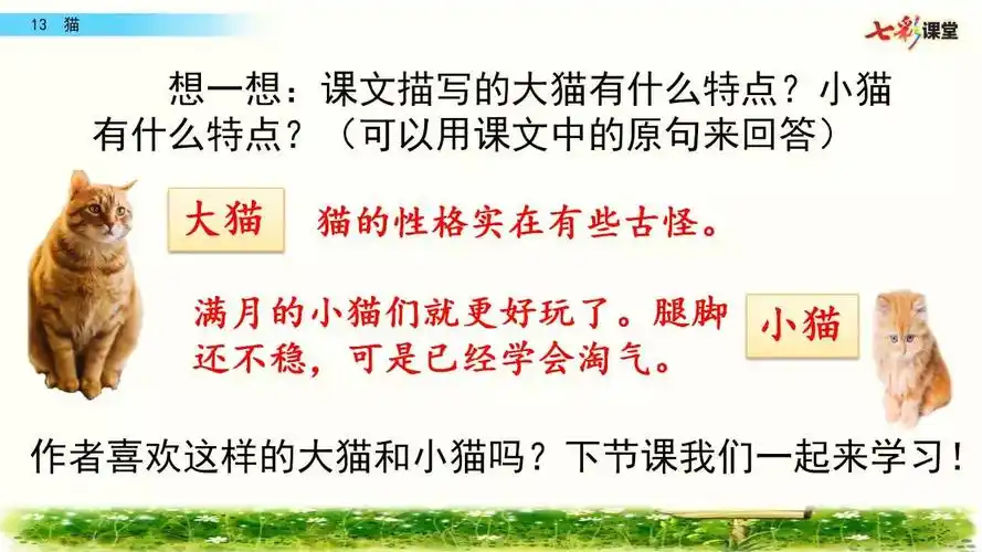 格伦微课堂:四下《13.猫》