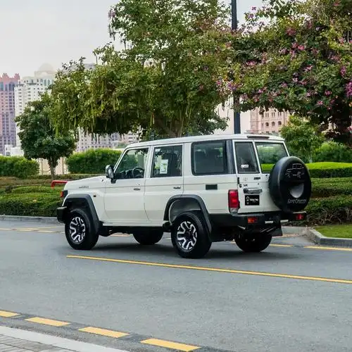 兰德酷路泽lc300中国价格_易车知识库