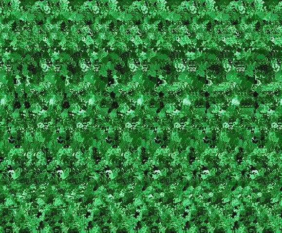 看到对眼也欲罢不能的三维立体图~有木有!