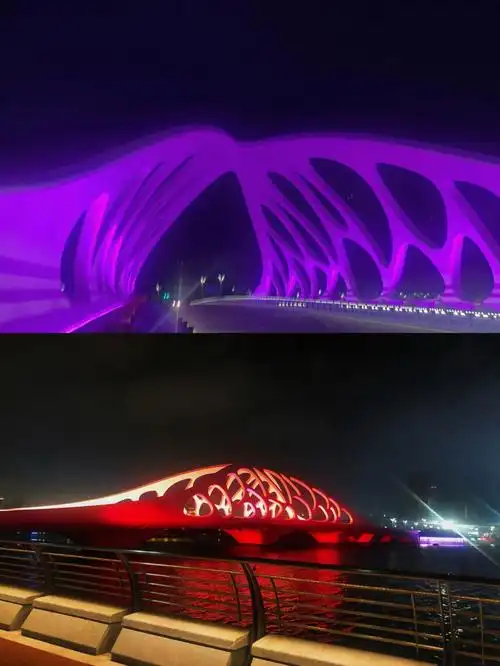 青岛黄岛星光岛打卡