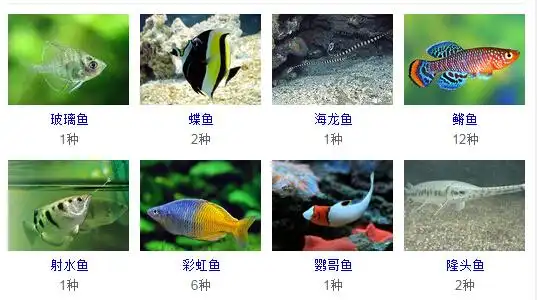 各种鱼图片大全大图侧扁头中大头顶上有一强嵴突