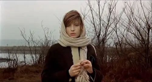 无声的婚礼,人性的深思,给你介绍五部小语种电影,你喜欢吗?