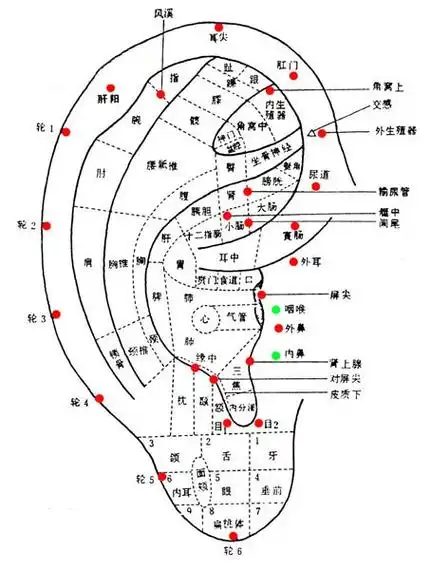 耳部养生保健按摩十法:明目醒脑健肾养肝!