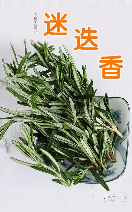采缇迷迭香西餐香料新鲜植物香料煎牛排用调味调料用品可食用500g250g