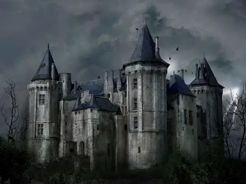 古娜拉黑暗之堡『魔法城堡2周年贺曲』